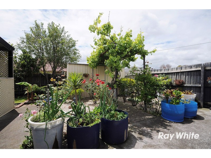 20 Astley Wynd, Lynbrook VIC 3975