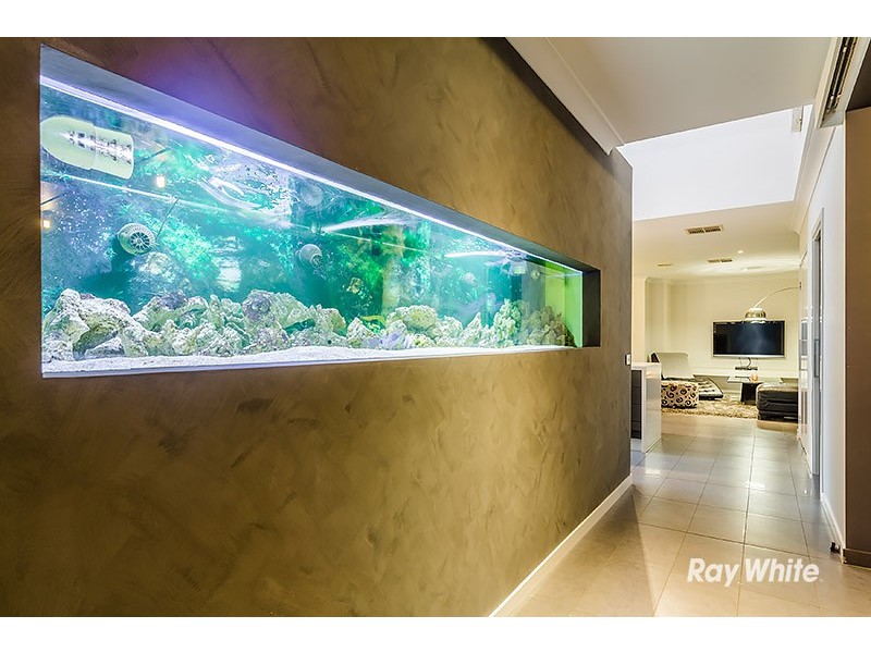 119 Brookwater Parade, Lyndhurst VIC 3975