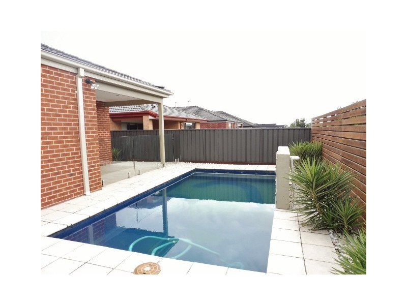 51 Abrus Circuit, Cranbourne North VIC 3977