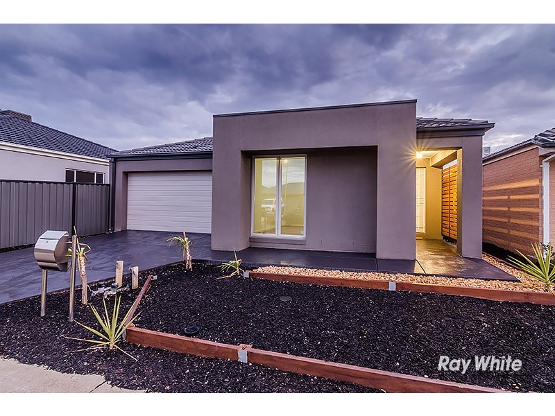 12 Morphetville Street, Clyde North VIC 3978