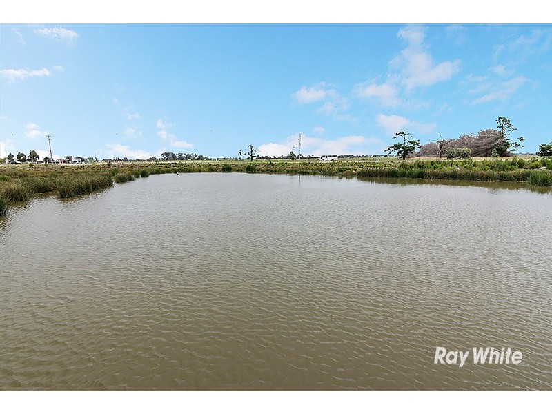 71 Linden Tree Way, Cranbourne North VIC 3977