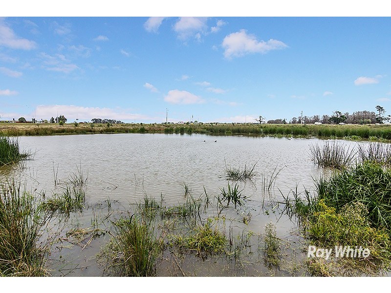 71 Linden Tree Way, Cranbourne North VIC 3977