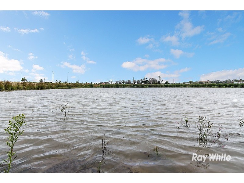 71 Linden Tree Way, Cranbourne North VIC 3977