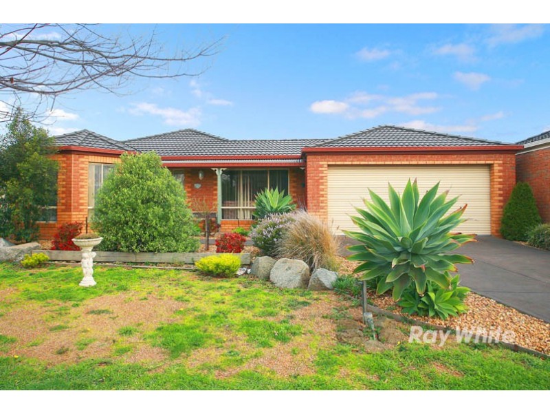11 Thistlewood Place, Cranbourne East VIC 3977