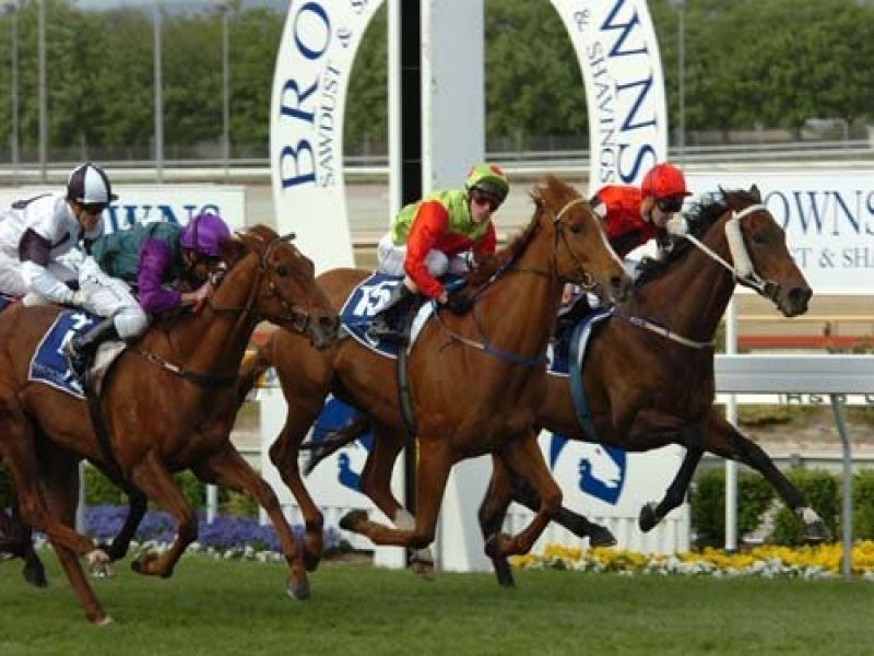 Lot 248 Dusky Bells Dr, Cranbourne VIC 3977