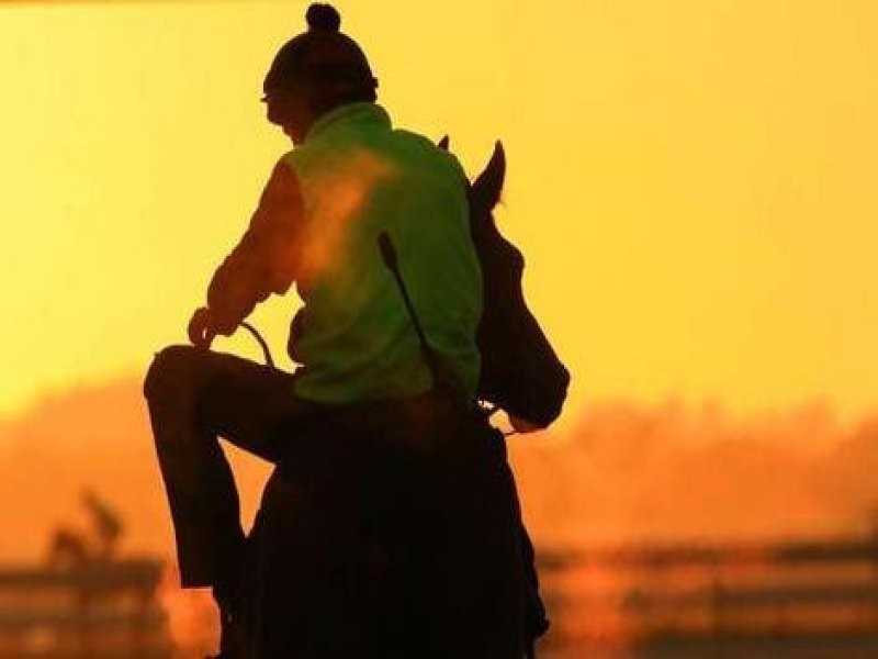 Lot 202 Bugle Lane, Cranbourne VIC 3977