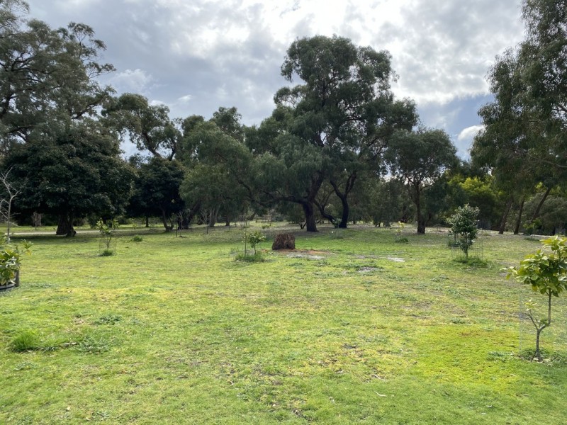 400 Warneet Road, Warneet VIC 3980