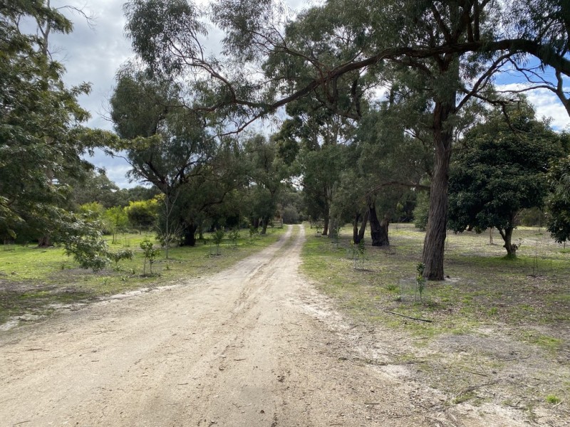 400 Warneet Road, Warneet VIC 3980