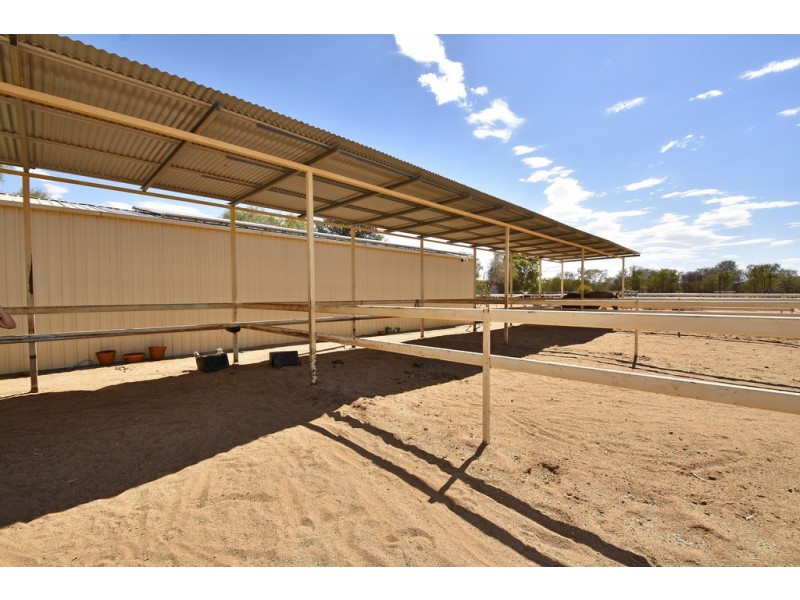 6808 Jane Road (60), White Gums NT 0870