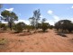 6808 Jane Road (60), White Gums NT 0870