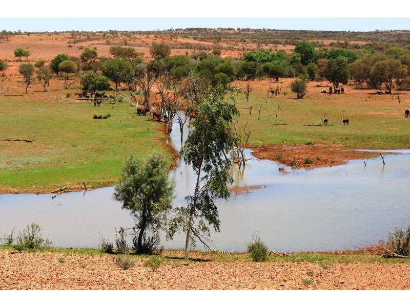 - MARYVALE STATION, Alice Springs NT 0870