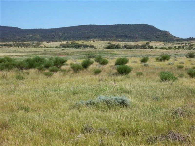 . Lasseter Highway, Alice Springs NT 0872