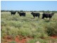. Lasseter Highway, Alice Springs NT 0872