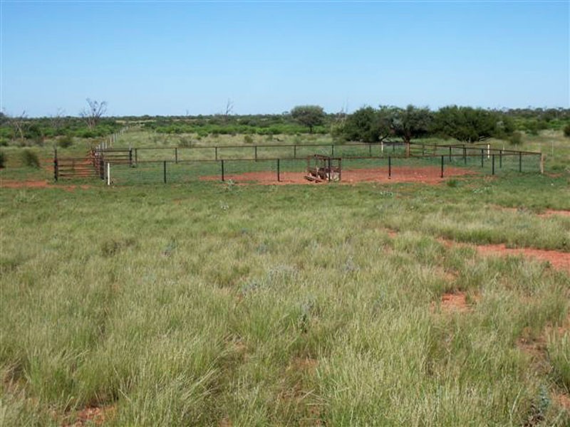 . Lasseter Highway, Alice Springs NT 0872