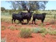 . Lasseter Highway, Alice Springs NT 0872