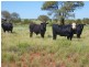 . Lasseter Highway, Alice Springs NT 0872