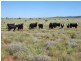. Lasseter Highway, Alice Springs NT 0872