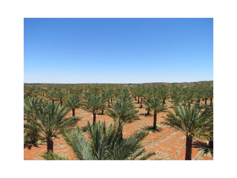 NTP 1933 Rural, Alice Springs NT 0870