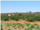 NTP 1933 Rural, Alice Springs NT 0870