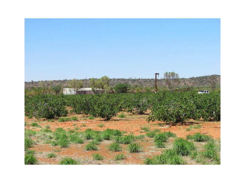 NTP 1933 Rural, Alice Springs NT 0870