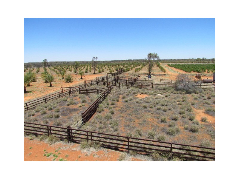 NTP 1933 Rural, Alice Springs NT 0870