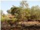 Lot 5451 Heenan Road, Ross NT 0870