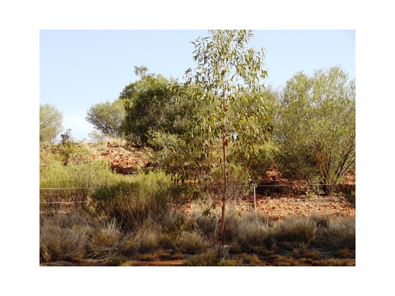 Lot 5451 Heenan Road, Ross NT 0870