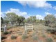 1845 Parakeelya Road, Connellan NT 0870