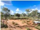 1845 Parakeelya Road, Connellan NT 0870