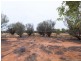 NTP 1888 Petrick Road, Connellan NT 0870