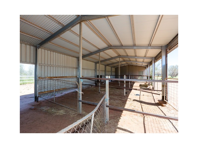 NTP1850 (20) Crotalaria Road, Connellan NT 0870