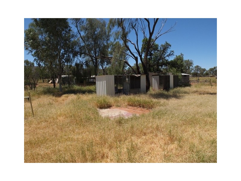 996 (Lot 1967) Ilparpa Road, White Gums NT 0870