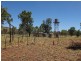 996 (Lot 1967) Ilparpa Road, White Gums NT 0870