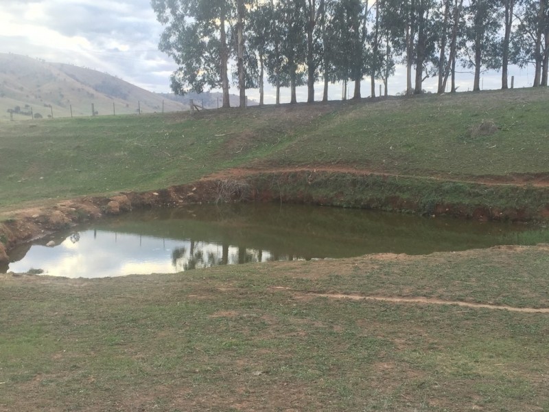 723 East Gilmore Road, Tumut NSW 2720