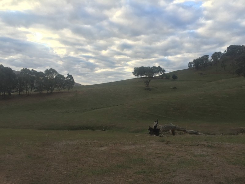 723 East Gilmore Road, Tumut NSW 2720