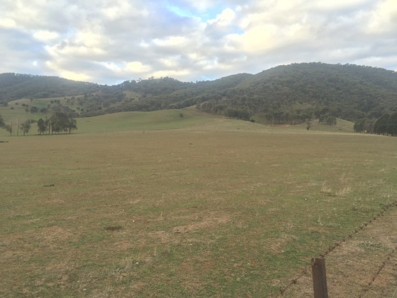 723 East Gilmore Road, Tumut NSW 2720