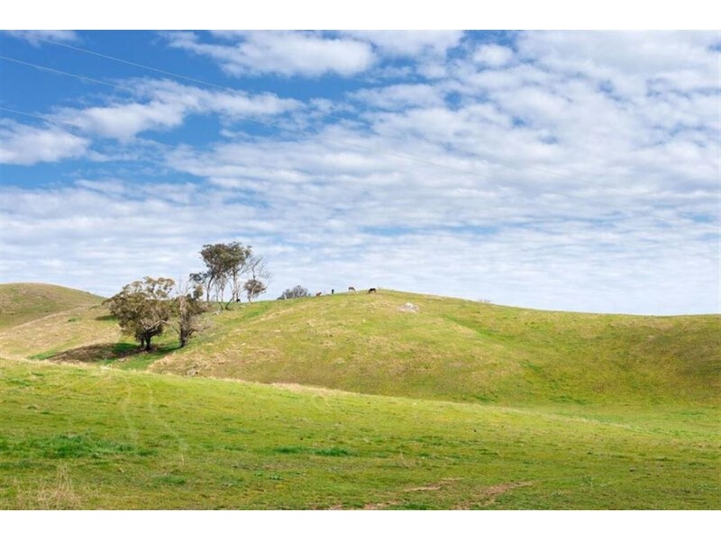 1925 Gocup Road, Tumut NSW 2720