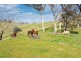 1925 Gocup Road, Tumut NSW 2720