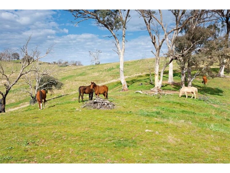 1925 Gocup Road, Tumut NSW 2720