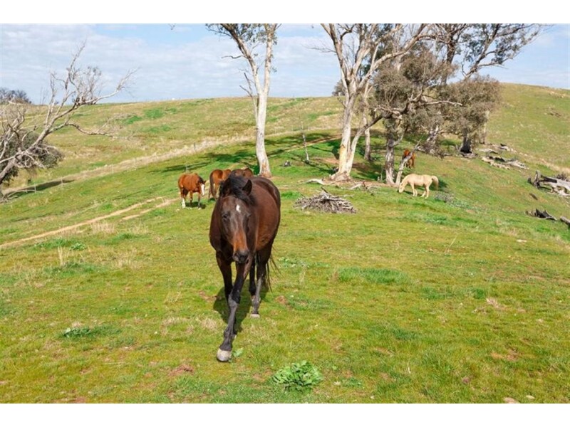 1925 Gocup Road, Tumut NSW 2720