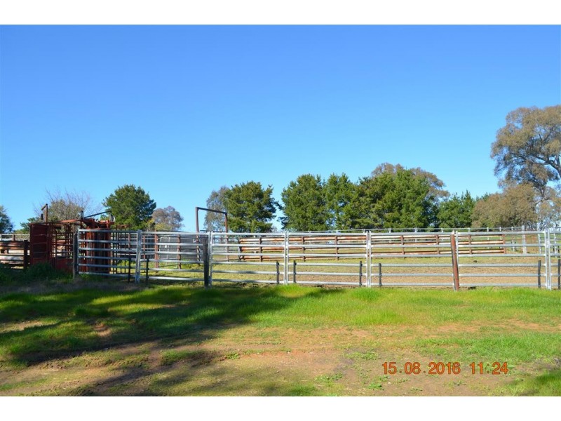 304 Brungle Road, Tumut NSW 2720