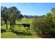 304 Brungle Road, Tumut NSW 2720