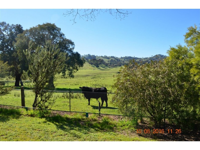 304 Brungle Road, Tumut NSW 2720