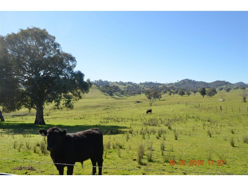 304 Brungle Road, Tumut NSW 2720