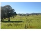 304 Brungle Road, Tumut NSW 2720