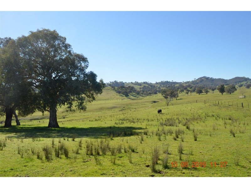 304 Brungle Road, Tumut NSW 2720