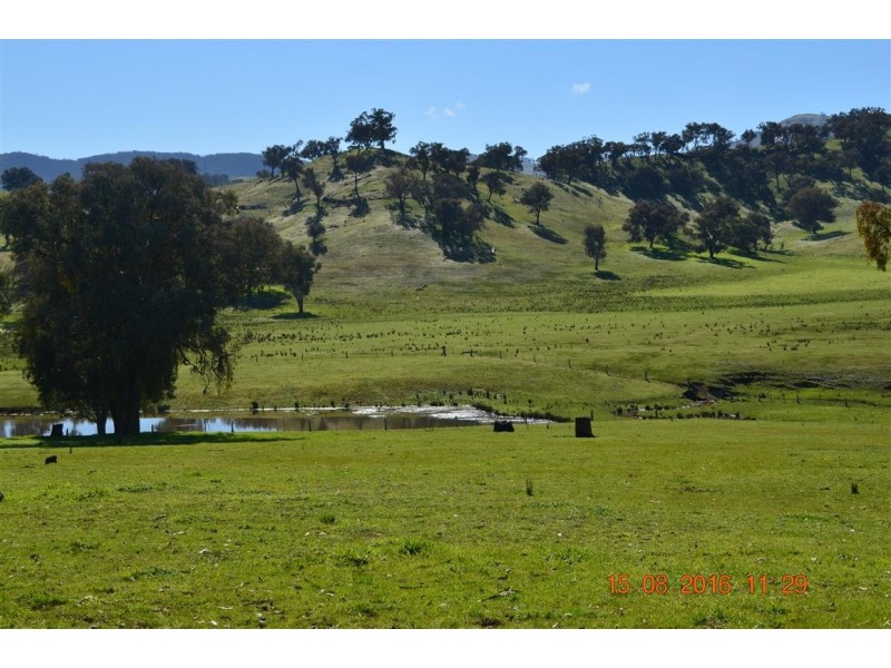 304 Brungle Road, Tumut NSW 2720