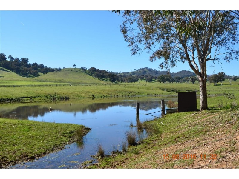 304 Brungle Road, Tumut NSW 2720