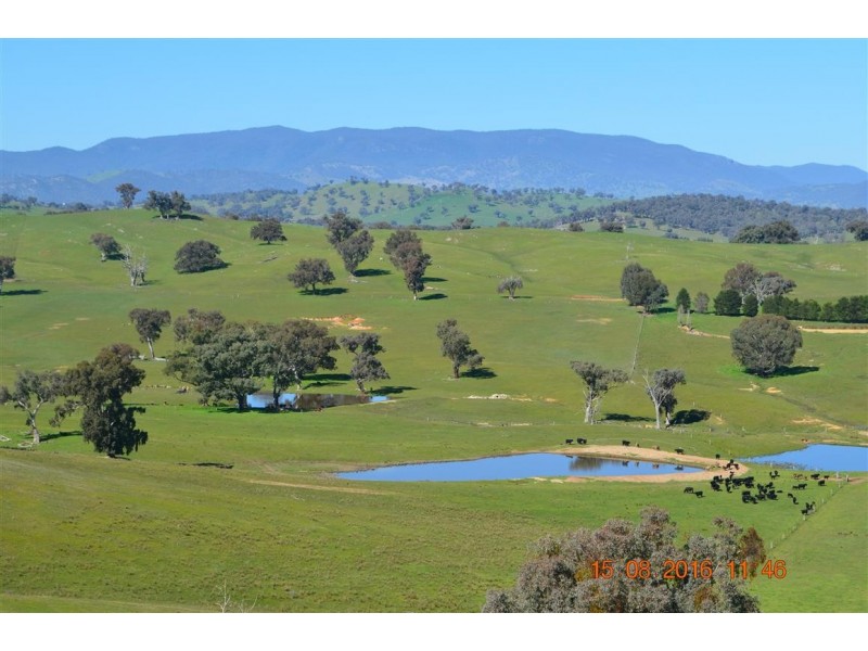 304 Brungle Road, Tumut NSW 2720