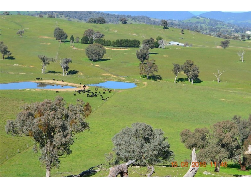 304 Brungle Road, Tumut NSW 2720